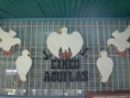 /album/fotogaleria-inicio/cimg3537-jpg/